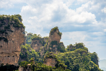 Majestic Mountain Peaks and Dense Forests in Zhangjiajie Scenic Area, Hunan, China