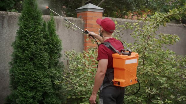 Gardener is spraying plants and trees with a professional knapsack sprayer. He is wearing a red cap, a mask and a respirator