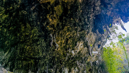 A rocky cliff with green plants growing on it