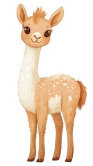 Cute cartoon llama