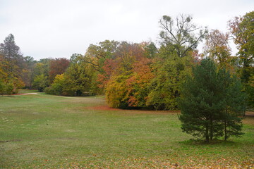 Herbstlandschaft des Neuen Gartens in Potsdam