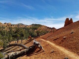 Golden Wall trail at Red Canyon Utah