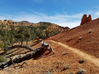 Golden Wall trail at Red Canyon Utah