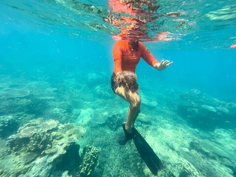 Diver with Crown of Thorn Starfish