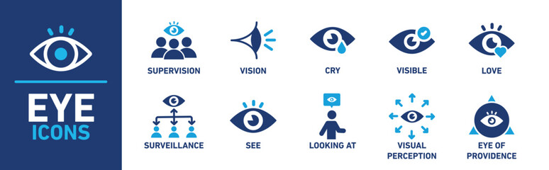 Eye Icon Set Featuring Supervision, Vision, and Surveillance Symbols