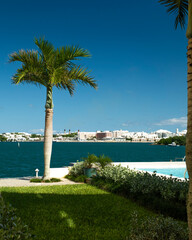 Seaside in Bermuda Palm Trees