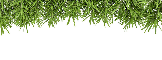 christmas background with branches on white	
 