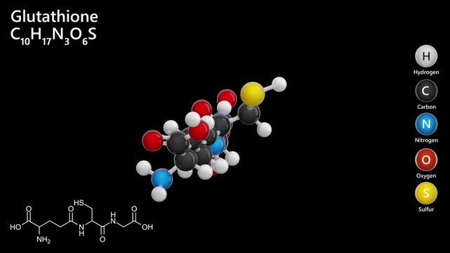 glutathione ball and stick Stock Videos – 228 HD & 4K Footage Clips oral vs iv glutathione Eye Cream for Sensitive Skin Unités:60 gélules