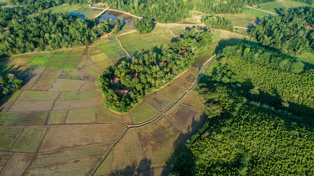 An aerial view of lush Sri Lankan paddy fields in the golden evening light showcases a vibrant, green landscape. The fields stretch across the horizon, creating a breathtaking mosaic of greenery and