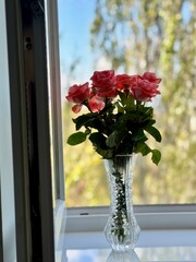 Vase of pink flowers by the window