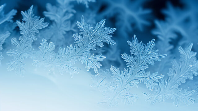blue frosty background