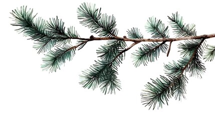 Obraz premium Pine Tree Branch Illustration for Holiday Decor