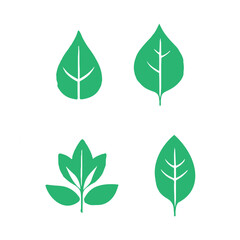 A collection of green leaves and leaves from the plant free download