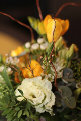 A beautiful bouquet of white and yellow freesia flowers, artfully arranged to capture the freshness and elegance of spring blooms. The gentle hues of white and vibrant yellow combine to create a charm