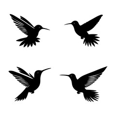Hummingbirds Silhouette Set  Vector Art illustration with a white background