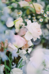 Obraz premium A close-up view of delicate pink flowers in full bloom, capturing the softness and beauty of springtime in a garden.