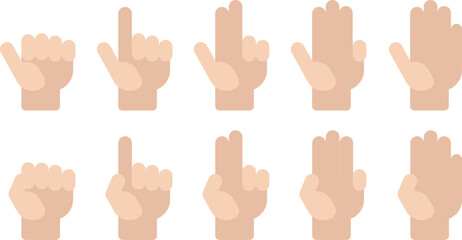 Flat vector Hand Count number hand