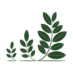 A collection of green leaves and leaves from the plant free download