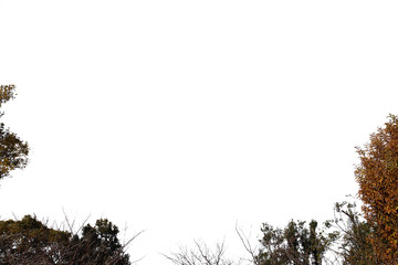 紅葉の木・山　切り抜き