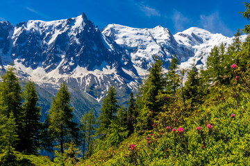 Fototapeta premium Mont Blanc, Monte Bianco mountain summit snow dome above the Chamonix valley in France. Highest peak in Europe in the Alps, alpice scenic view of Montblanc