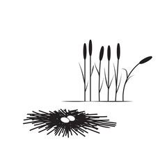 Eggs of the crane in nest near the bulrush. Vector black and white image.