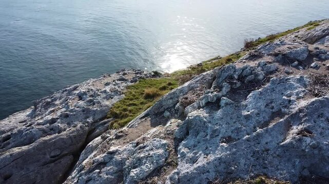 The reflection of the sun floats on calm water on the shore of a volcanic rock nesting remains of seabird nests and where a patch of vegetation has found its place.