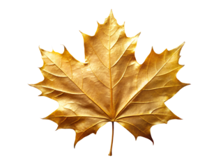 Golden Metallic Maple Leaf, Isolated on transparent background, Png Element, Png Photo