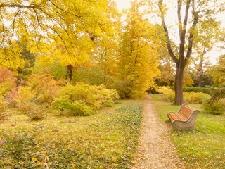 Naklejka premium Autumn in the old city park.