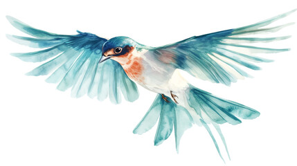 Obraz premium Swallow in flight isolated png
