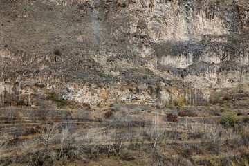 landscape, natural texture - sheer mountain cliff with cracks and vegetation