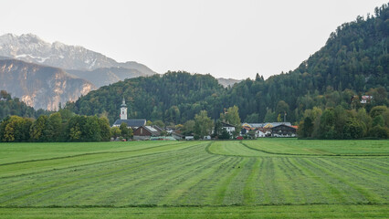 Landwirt auf Traktor mäht © RS.Foto
