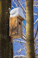Bird house on tree in winter.