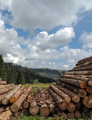 legna ammucchiata in montagna
