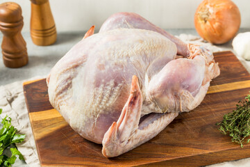 Raw Whole Thanksgiving Turkey