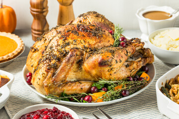 Homemade Thanksgiving Turkey Dinner