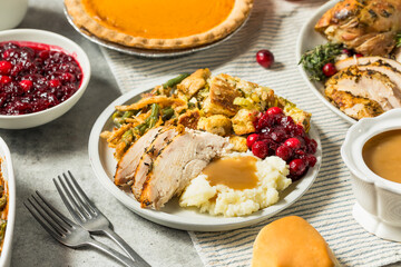 Thanksgiving Turkey Dinner Plate with Potatoes