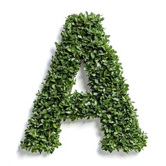 Alphabet Shrub Sculpture Isolated on White Background