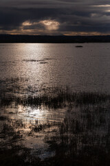 Fir Island Farm Reserve at Dawn. With over 200 acres of estuary in this protected zone, this bird habitat is intended to protect many animals passing through over winter.