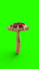 diamond ruby ring with green background