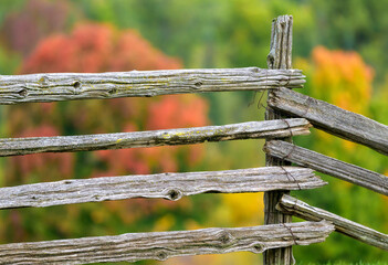 Old rustic fence with fall colours behind