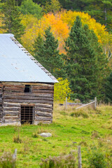 Rural rustic fall scene