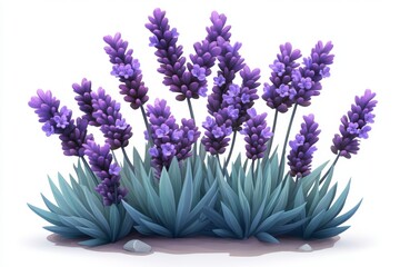 Fototapeta premium Lavender Bush with Purple Flowers and Green Leaves Isolated on White Background