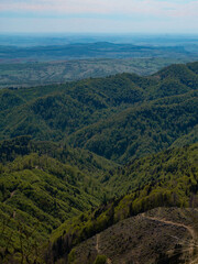 View from mountain hill overlooking green forest