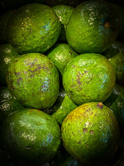 Vivid colors of autumn in food produce - Green Passion Fruit.