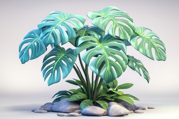 Obraz premium Tropical Monstera Plant with Stones on White Background