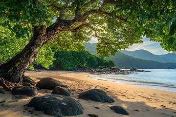 Large green tree in the south of Louisiana
