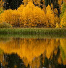 Fall colors in SW Colorado, USA