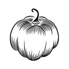 Pumpkin outline on white background. Hand-drawn sketch. Vector illustration clipart.