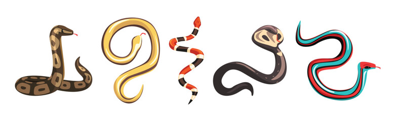 Venomous Snake and Serpent of Different Type Vector Set