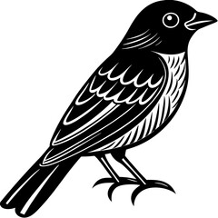 Obraz premium Scarlet Tanager vector silhouette 